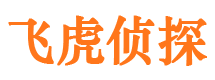 河西市调查公司